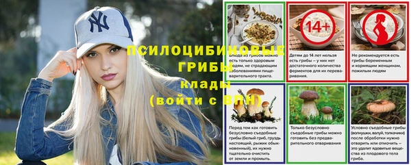шишки Алексеевка
