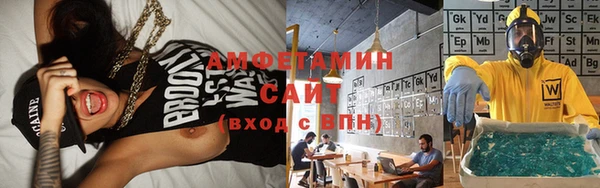индика Абинск