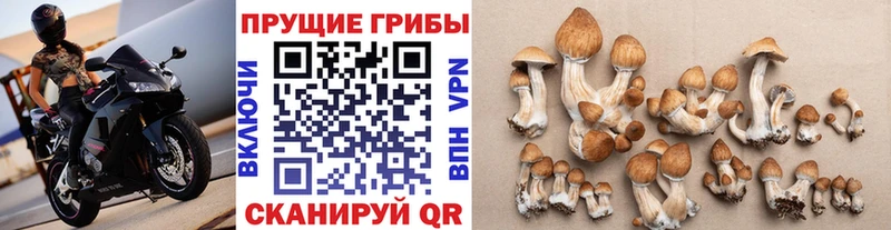 Псилоцибиновые грибы ЛСД  darknet Telegram  Нарьян-Мар 